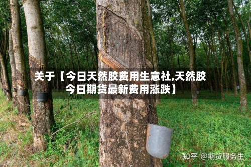 关于【今日天然胶费用生意社,天然胶今日期货最新费用涨跌】