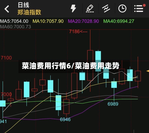 菜油费用行情6/菜油费用走势-第2张图片