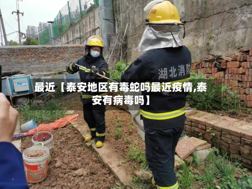 最近【泰安地区有毒蛇吗最近疫情,泰安有病毒吗】