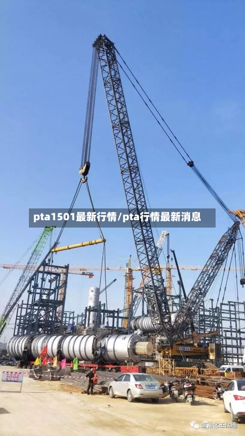 pta1501最新行情/pta行情最新消息