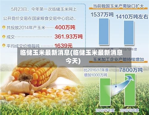 临储玉米最新消息(临储玉米最新消息今天)