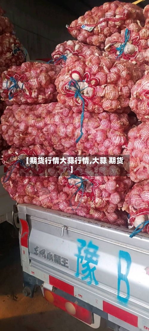 【期货行情大蒜行情,大蒜 期货】-第3张图片