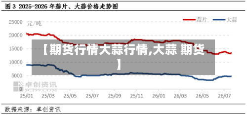 【期货行情大蒜行情,大蒜 期货】-第2张图片