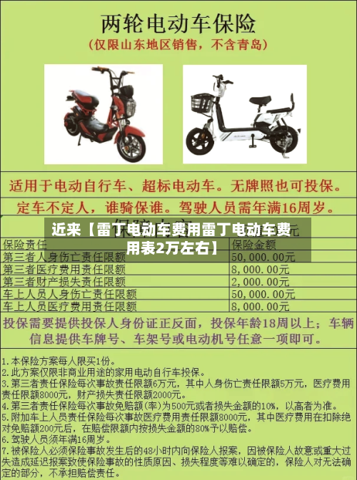 近来【雷丁电动车费用雷丁电动车费用表2万左右】-第2张图片