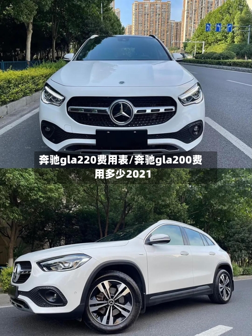 奔驰gla220费用表/奔驰gla200费用多少2021