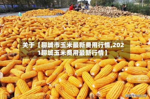 关于【聊城市玉米最新费用行情,2021聊城玉米费用最新行情】