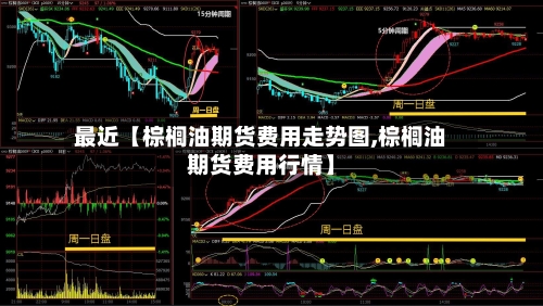 最近【棕榈油期货费用走势图,棕榈油期货费用行情】-第2张图片