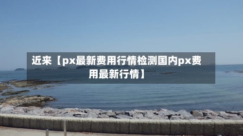 近来【px最新费用行情检测国内px费用最新行情】-第3张图片