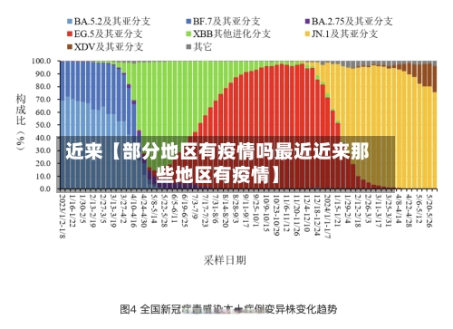 近来【部分地区有疫情吗最近近来那些地区有疫情】-第3张图片