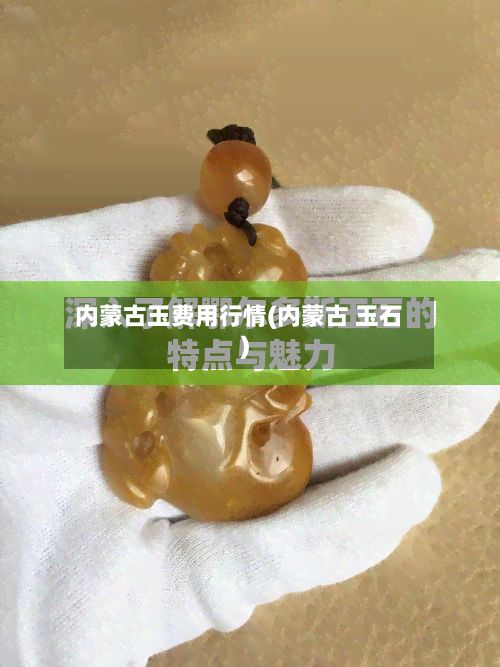 内蒙古玉费用行情(内蒙古 玉石)