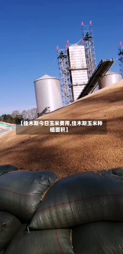 【佳木斯今日玉米费用,佳木斯玉米种植面积】