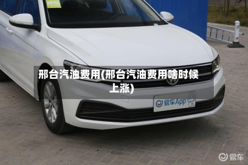 邢台汽油费用(邢台汽油费用啥时候上涨)-第3张图片