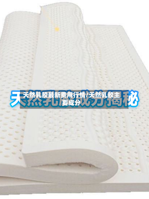 天然乳胶最新费用行情/天然乳胶主要成分-第2张图片