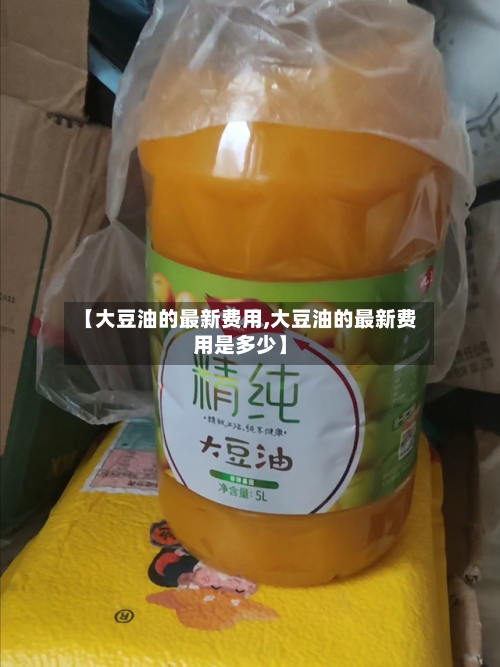 【大豆油的最新费用,大豆油的最新费用是多少】-第2张图片