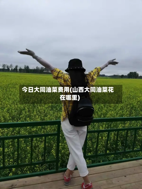今日大同油菜费用(山西大同油菜花在哪里)