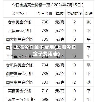 上海今日金子费用(上海今日金子费用表)-第3张图片