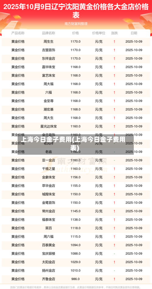 上海今日金子费用(上海今日金子费用表)