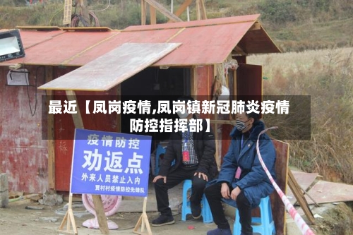 最近【凤岗疫情,凤岗镇新冠肺炎疫情防控指挥部】-第3张图片