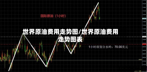 世界原油费用走势图/世界原油费用走势图表-第2张图片
