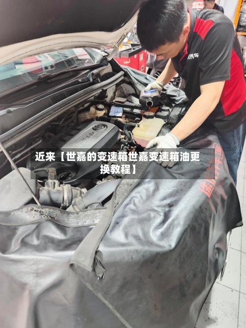 近来【世嘉的变速箱世嘉变速箱油更换教程】