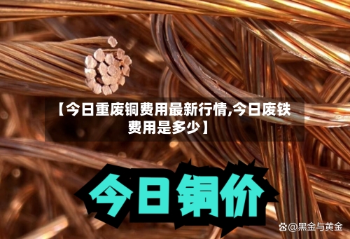 【今日重废铜费用最新行情,今日废铁费用是多少】-第2张图片