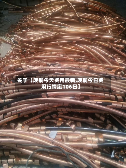 关于【废铜今天费用最新,废铜今日费用行情废106日】-第2张图片