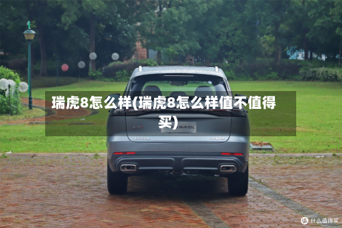 瑞虎8怎么样(瑞虎8怎么样值不值得买)