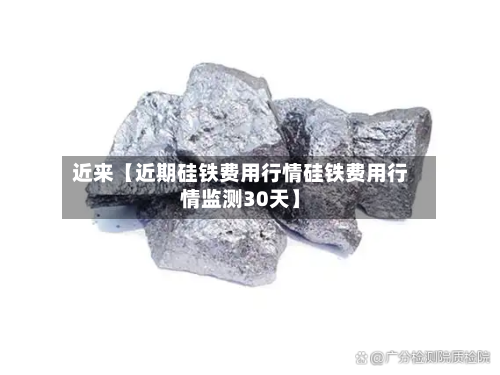 近来【近期硅铁费用行情硅铁费用行情监测30天】