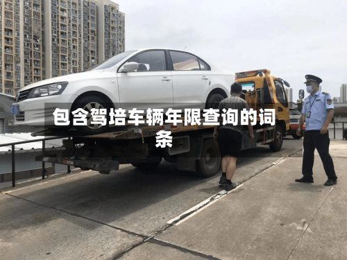 包含驾培车辆年限查询的词条