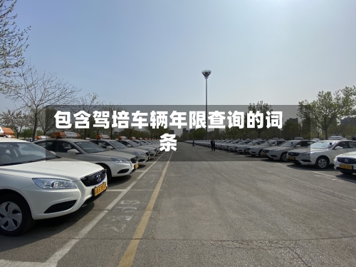 包含驾培车辆年限查询的词条-第2张图片