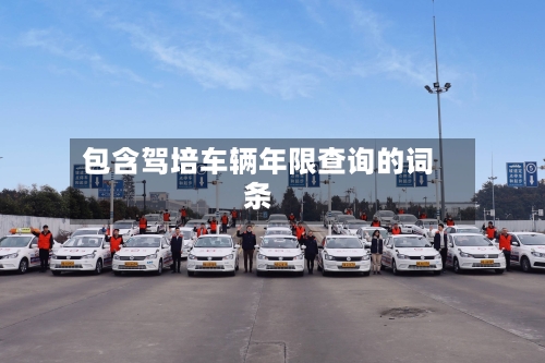 包含驾培车辆年限查询的词条-第3张图片