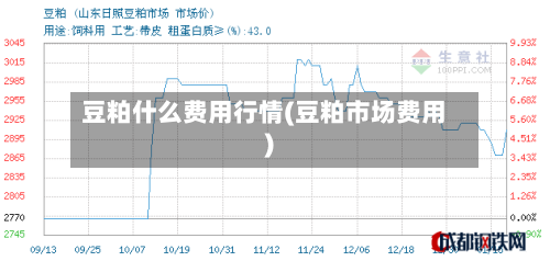 豆粕什么费用行情(豆粕市场费用)