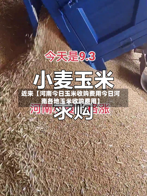 近来【河南今日玉米收购费用今日河南各地玉米收购费用】-第3张图片