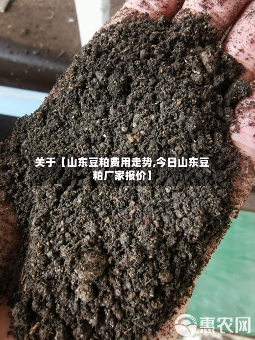 关于【山东豆粕费用走势,今日山东豆粕厂家报价】