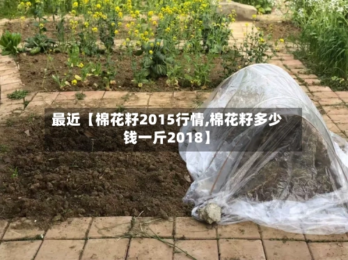 最近【棉花籽2015行情,棉花籽多少钱一斤2018】-第3张图片