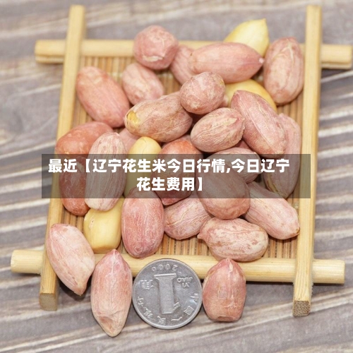 最近【辽宁花生米今日行情,今日辽宁花生费用】-第2张图片