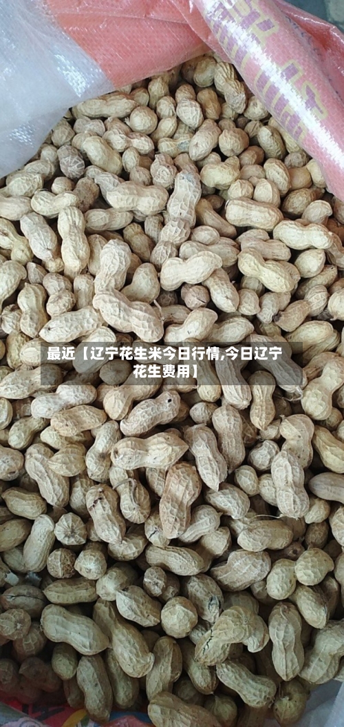 最近【辽宁花生米今日行情,今日辽宁花生费用】