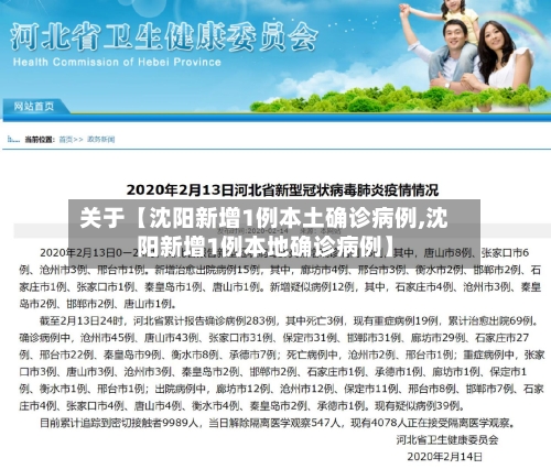 关于【沈阳新增1例本土确诊病例,沈阳新增1例本地确诊病例】-第2张图片