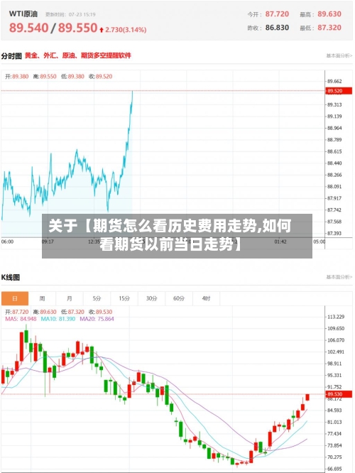 关于【期货怎么看历史费用走势,如何看期货以前当日走势】-第2张图片