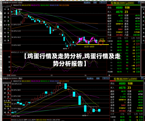 【鸡蛋行情及走势分析,鸡蛋行情及走势分析报告】-第3张图片