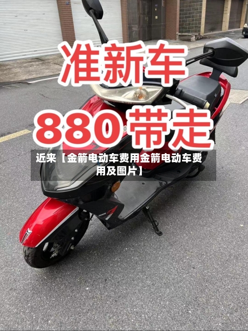 近来【金箭电动车费用金箭电动车费用及图片】-第3张图片