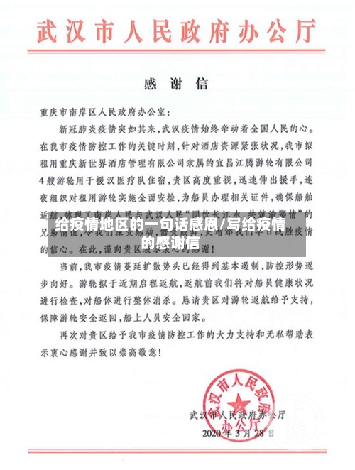 给疫情地区的一句话感恩/写给疫情的感谢信-第2张图片