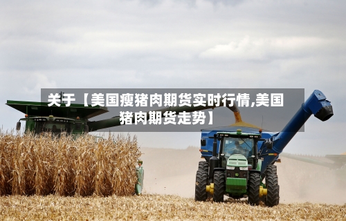 关于【美国瘦猪肉期货实时行情,美国猪肉期货走势】