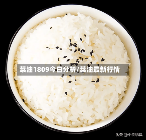 菜油1809今日分析/菜油最新行情