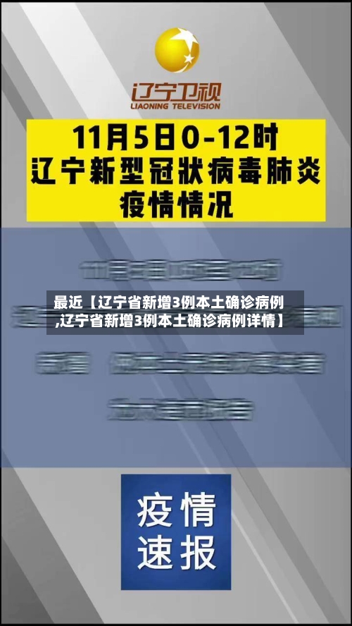 最近【辽宁省新增3例本土确诊病例,辽宁省新增3例本土确诊病例详情】-第2张图片