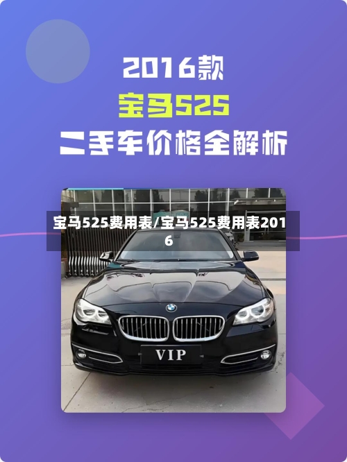 宝马525费用表/宝马525费用表2016-第3张图片