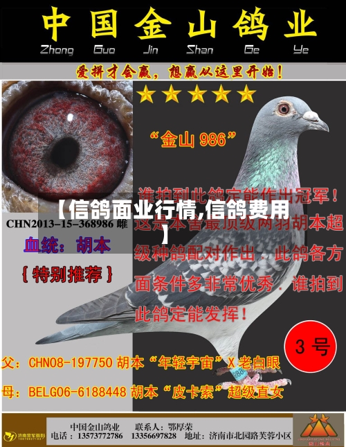 【信鸽面业行情,信鸽费用】-第3张图片
