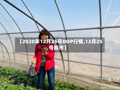 【2020年12月25号DOP行情,12月25号股市】