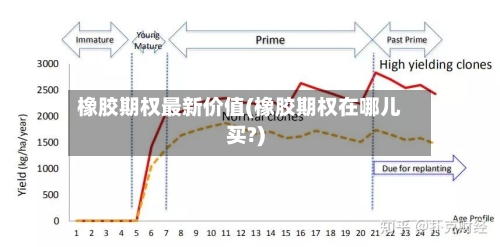 橡胶期权最新价值(橡胶期权在哪儿买?)
