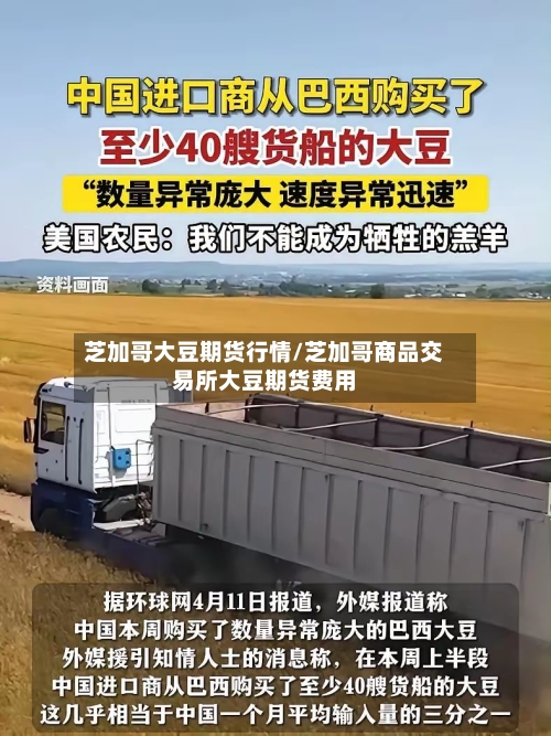 芝加哥大豆期货行情/芝加哥商品交易所大豆期货费用